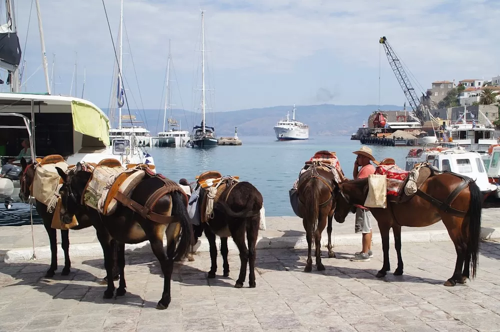 What To Do in A Day in Hydra