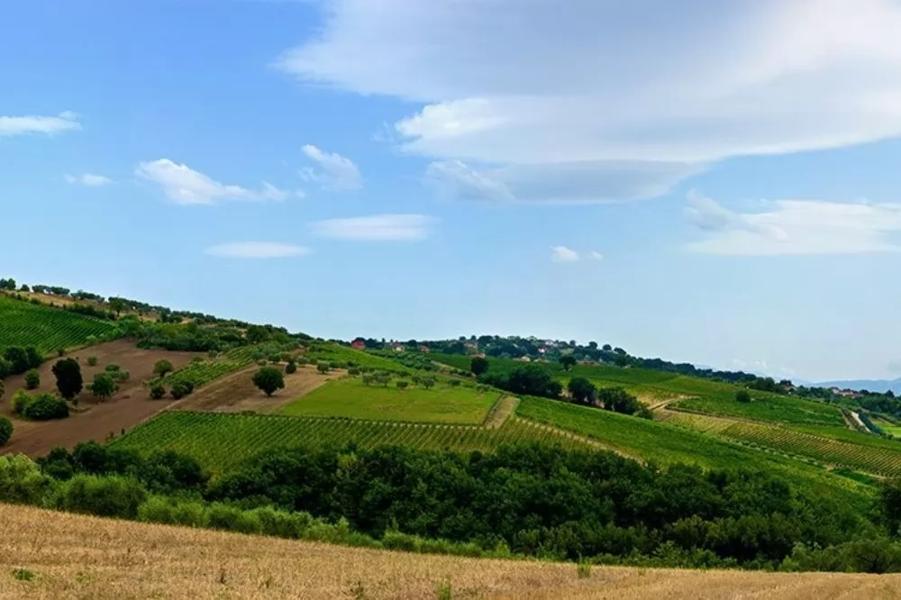 Where to Find The Most Beautiful Vineyards in Italy
