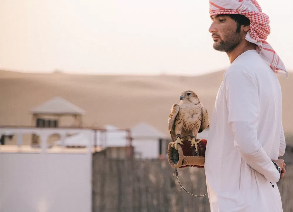 Why You Should Visit The Desert Near Dubai