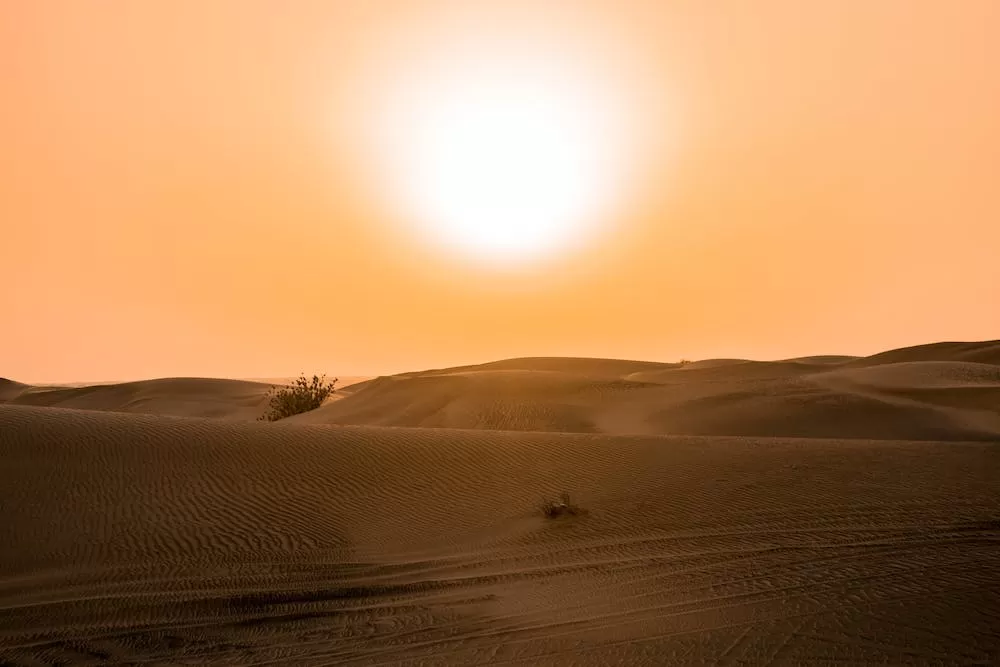 Why You Should Visit The Desert Near Dubai