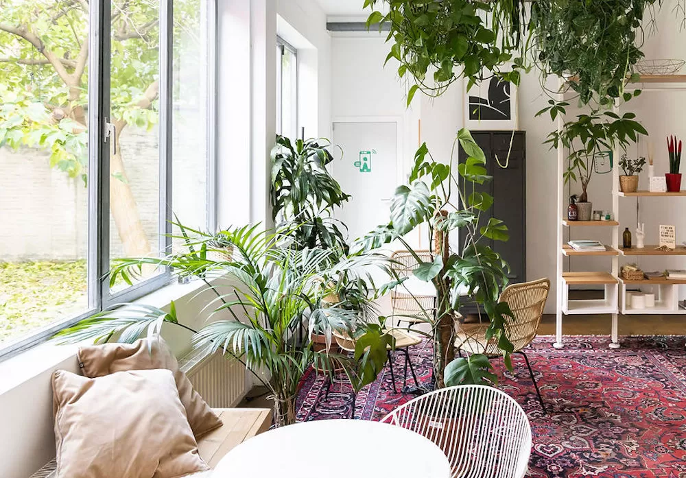 Antwerp's Best Coworking Spaces