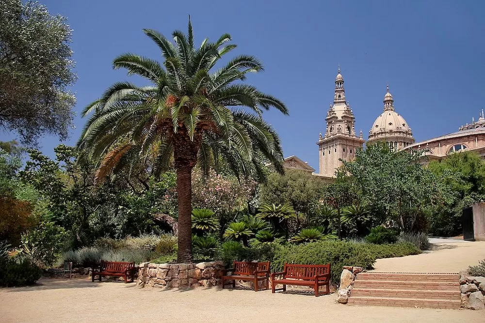 The Most Beautiful Gardens and Parks in Barcelona