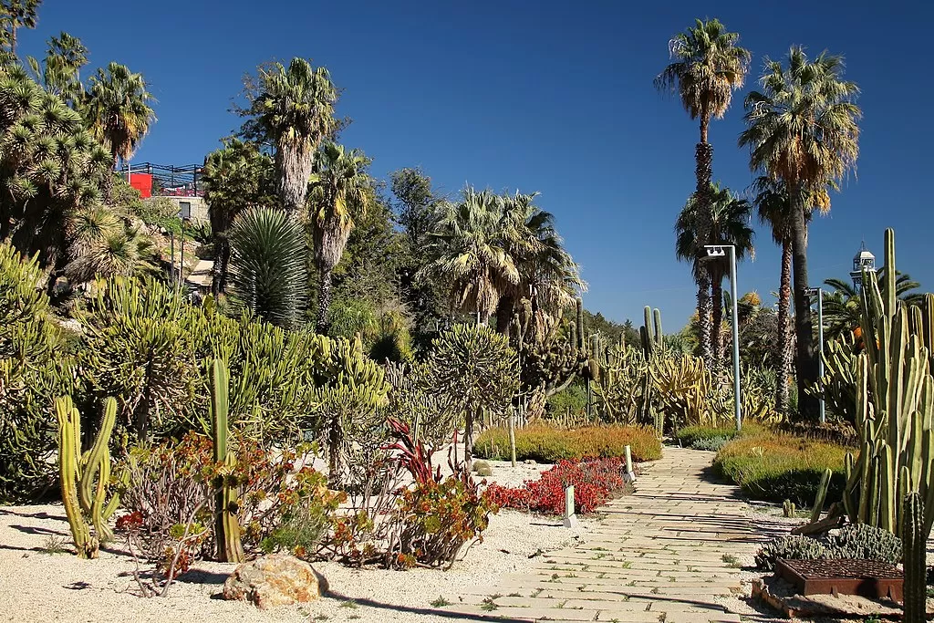 The Most Beautiful Gardens and Parks in Barcelona