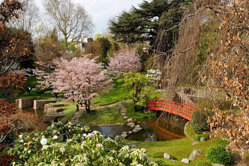 Where To See The Cherry Blossoms in Paris