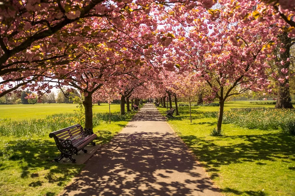 Top Five Reasons Why Springtime in London is So Exciting