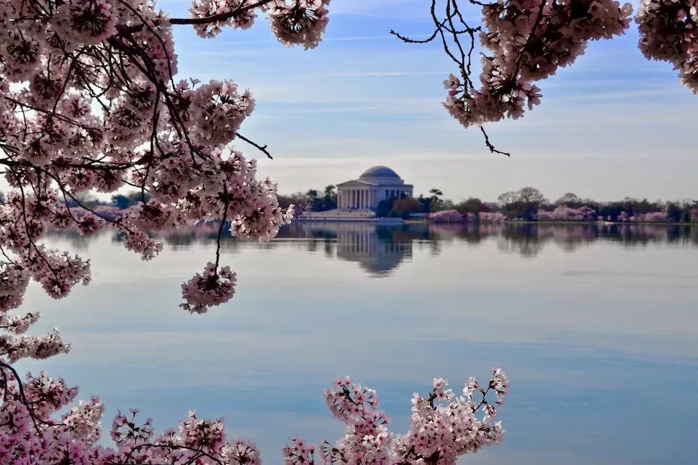 The Top Five Most Romantic Spots in Washington D.C.