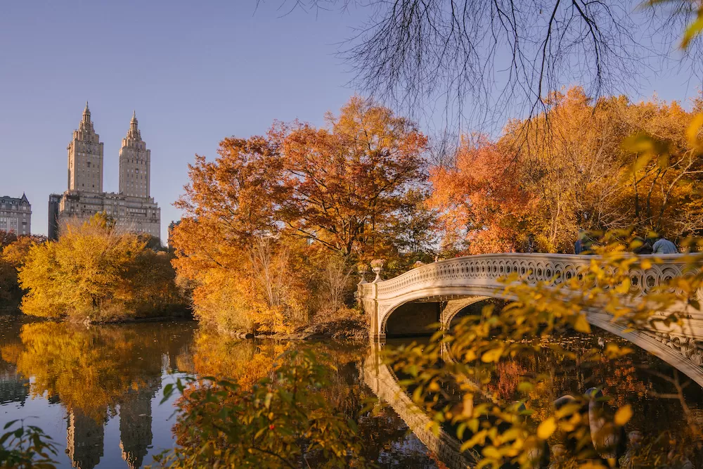 New York in The Fall: The Five Most Beautiful Spots in The City