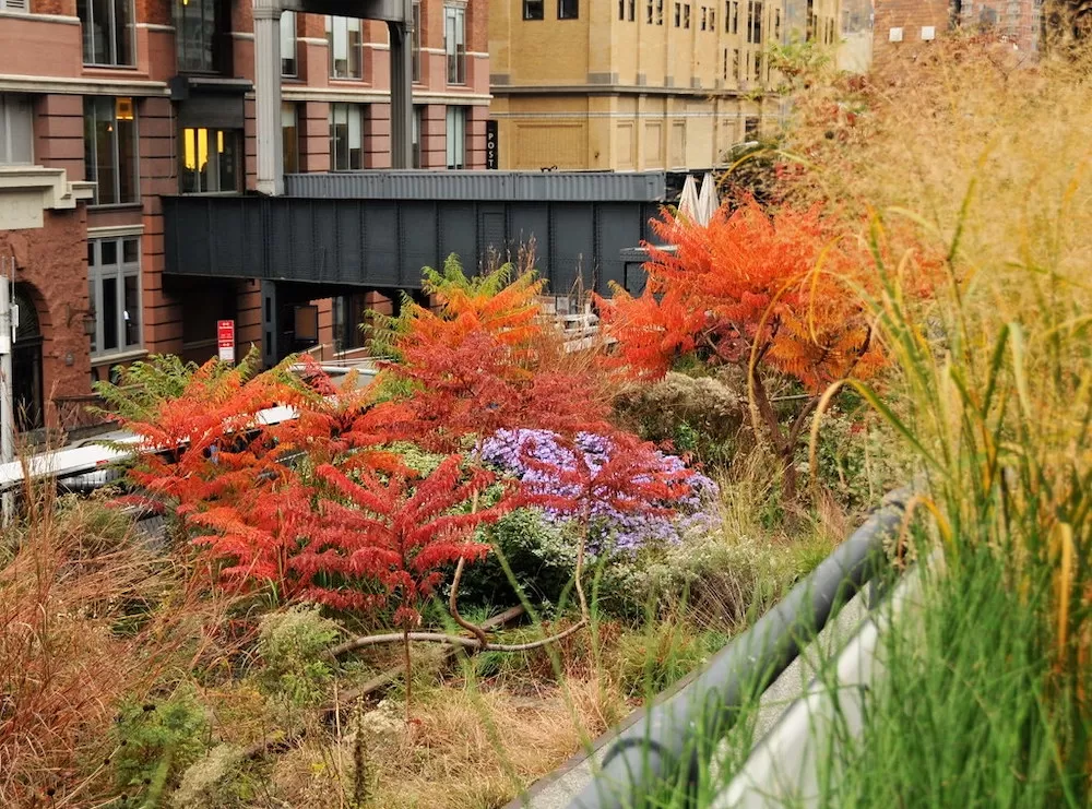 New York in The Fall: The Five Most Beautiful Spots in The City