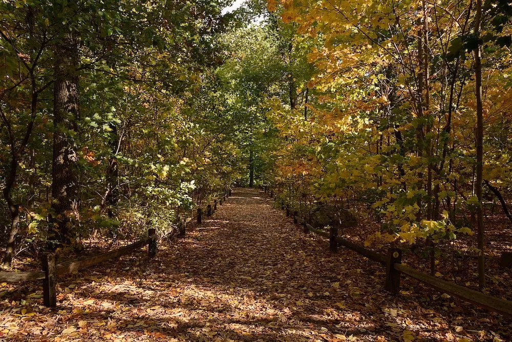 New York in The Fall: The Five Most Beautiful Spots in The City