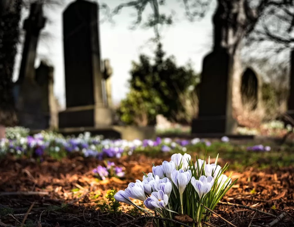 La Toussaint: How The French Celebrate All Saints' Day