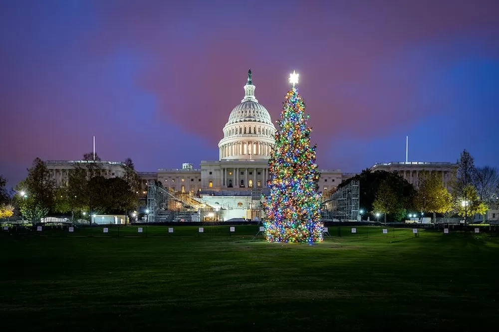 Where are The World's Most Iconic Christmas Trees?