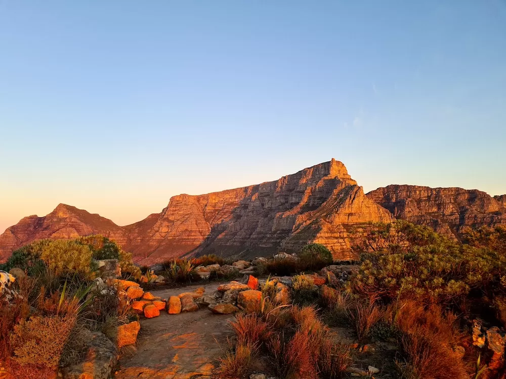 What To Do in Cape Town for A Day