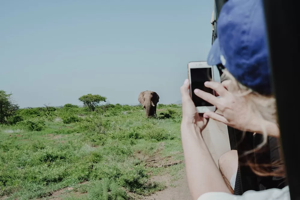 Follow These Tips When You Go On A Safari in South Africa