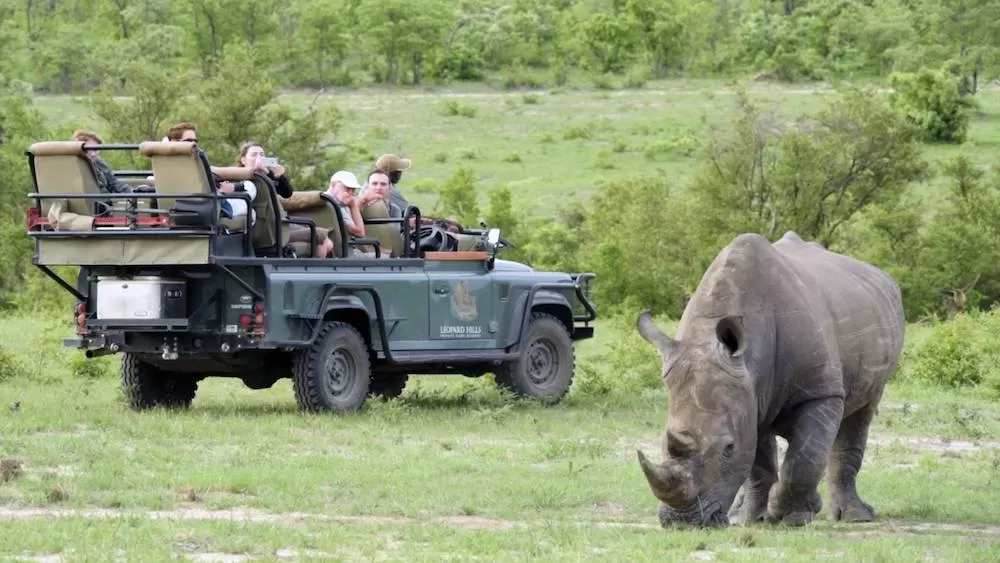 The Best Places To Go On a South African Safari