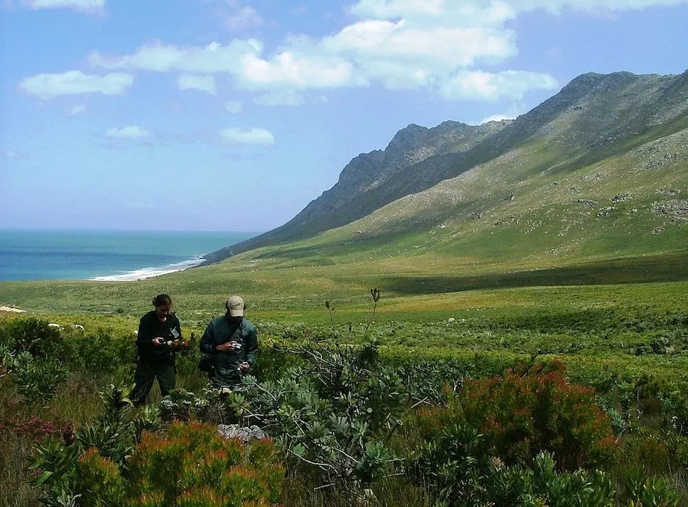 Climb Up These Magnificent Mountains in Cape Town