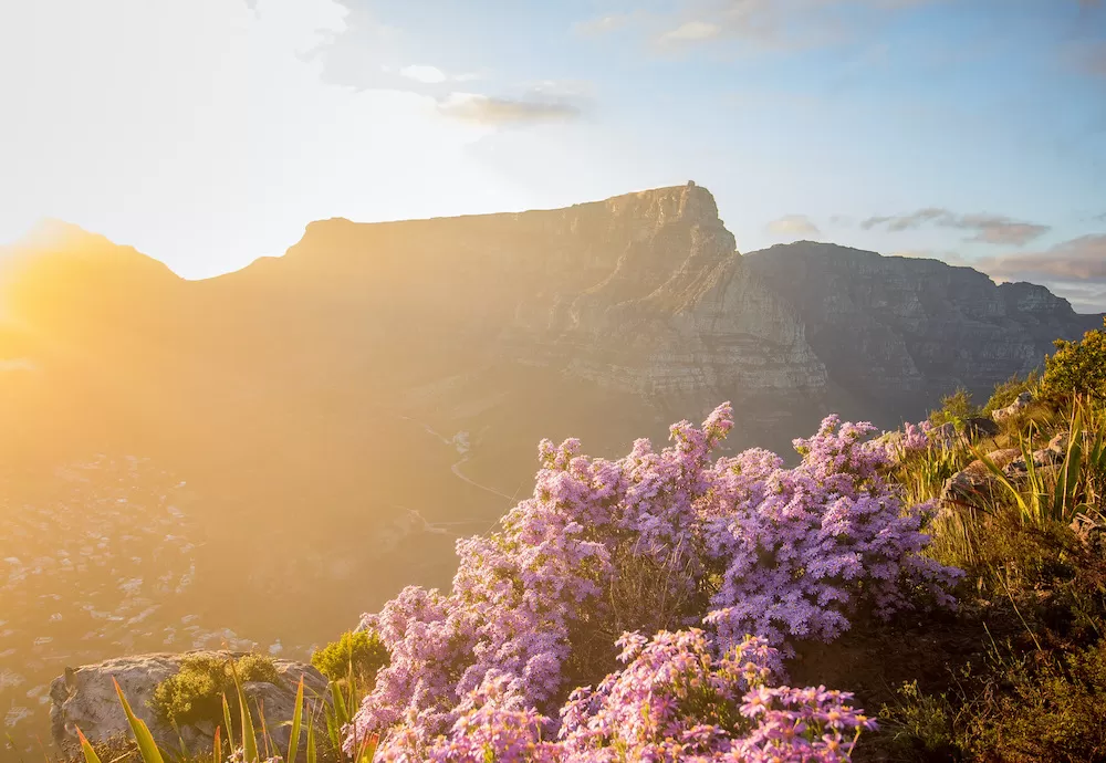 Climb Up These Magnificent Mountains in Cape Town