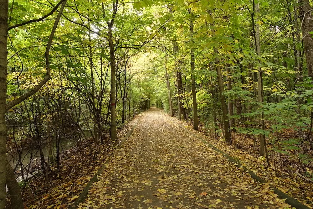 Where To Ride Your Bike in Montreal