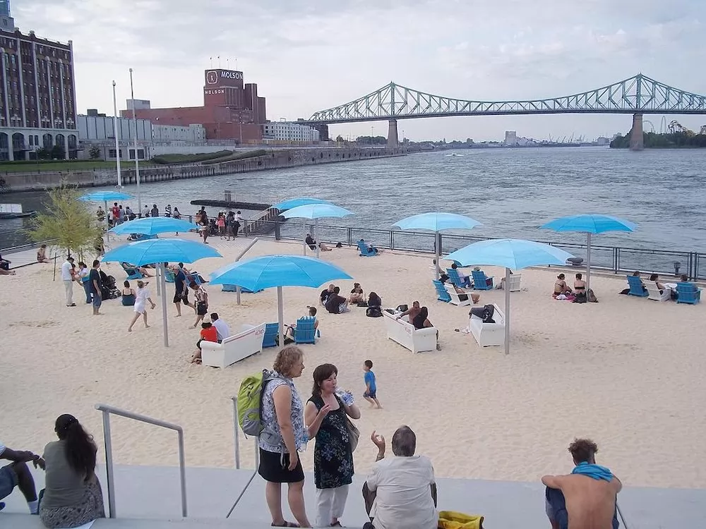 Where Can You Enjoy Reading in Montreal?