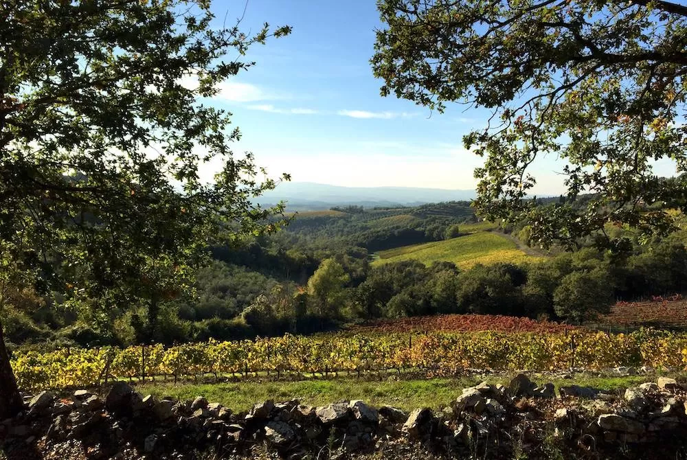 Visit These Picturesque Vineyards in Tuscany This Summer