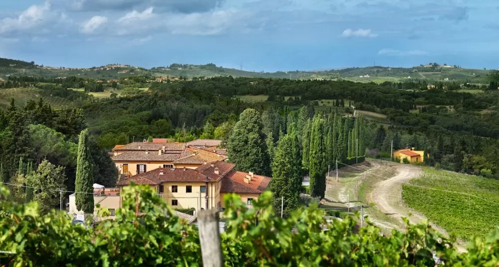 Visit These Picturesque Vineyards in Tuscany This Summer