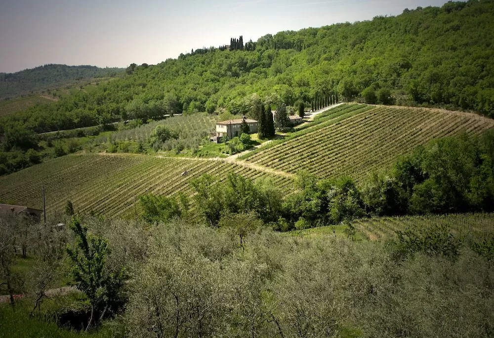 Visit These Picturesque Vineyards in Tuscany This Summer