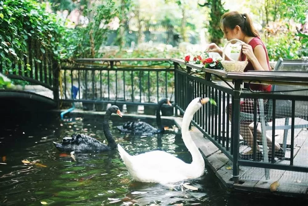 The Most Romantic Spots in Bangkok