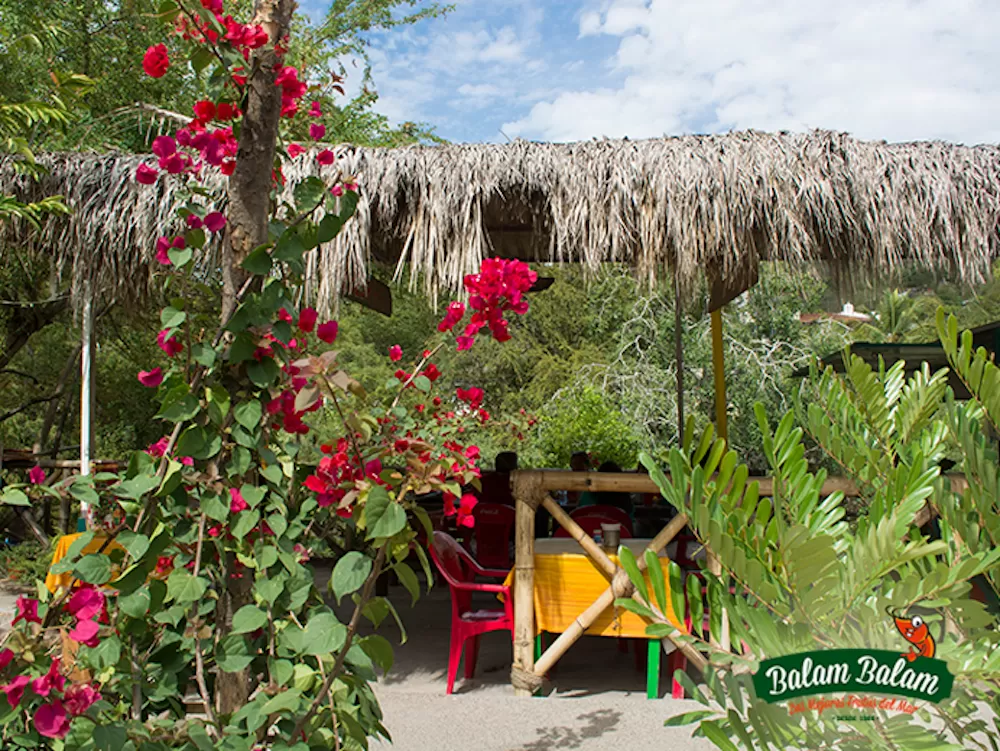 Where to Eat Authentic Mexican Food in Puerto Vallarta