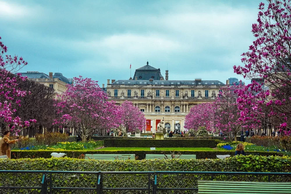 Where to Play Sports in Paris