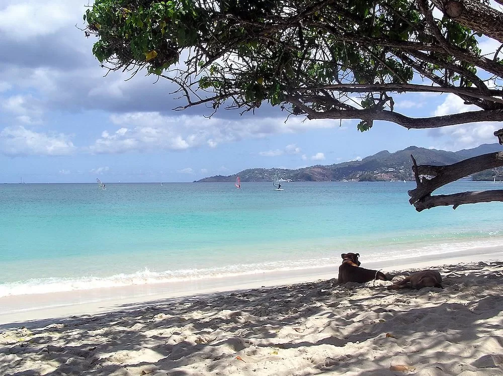 The Best Beaches Among The Caribbean Islands