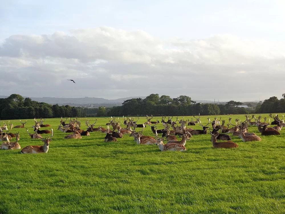 Dublin's 9 Most Romantic Spots