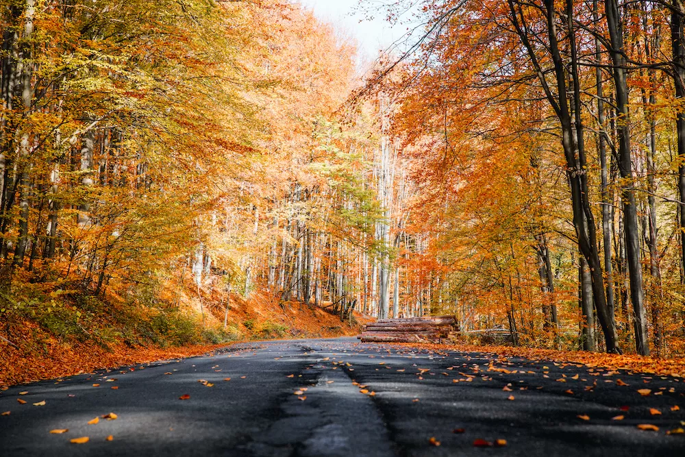 How to Spend Autumn in Dublin