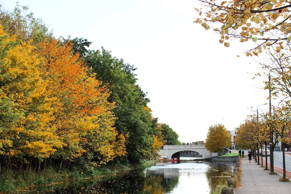 How to Spend Autumn in Dublin