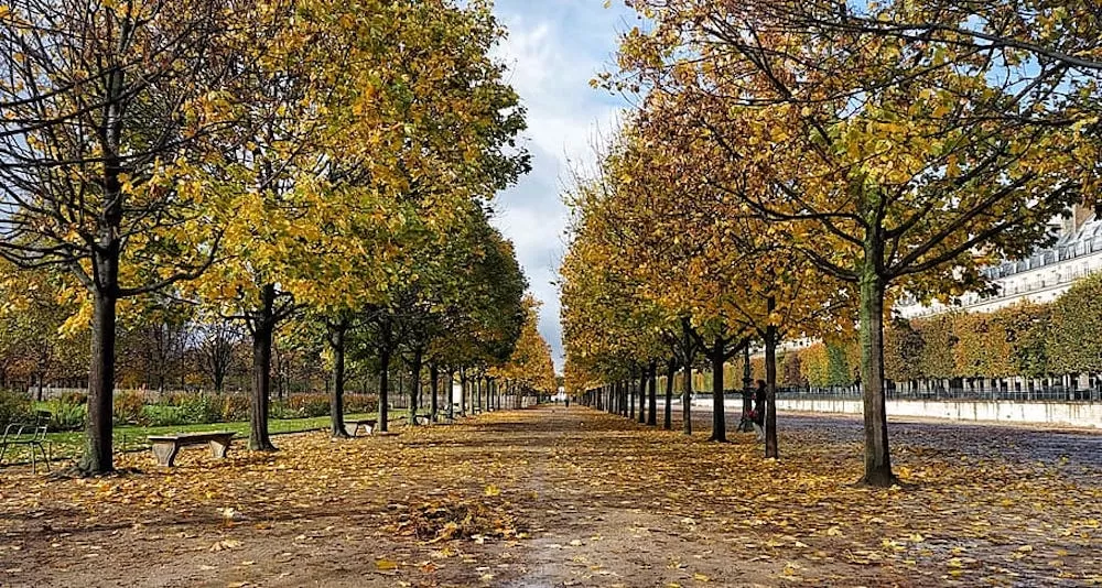 Where to See The Most Beautiful Fall Foliage in France