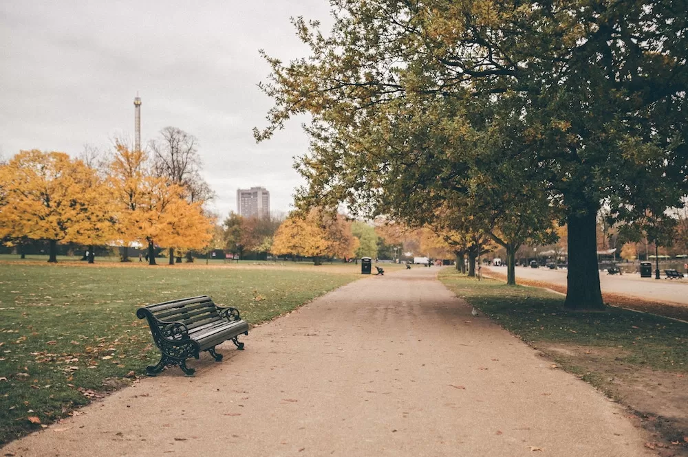 The Most Beautiful Spots for Fall Foliage in London