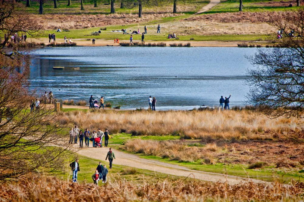 The Most Beautiful Spots for Fall Foliage in London