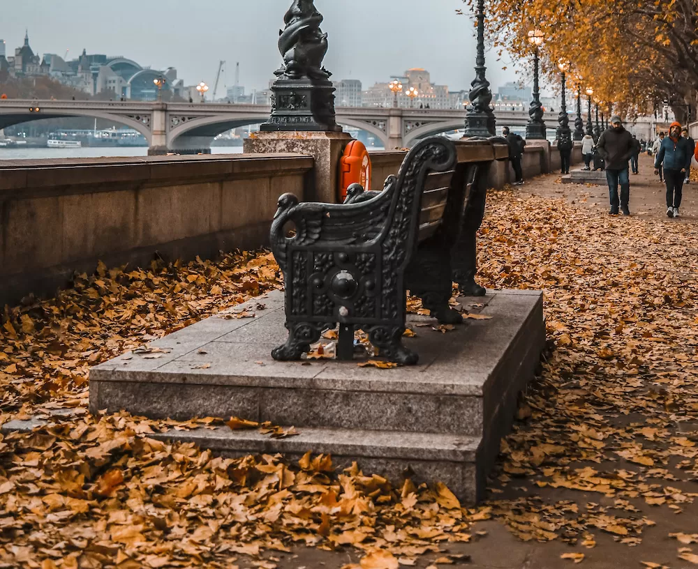 The Most Beautiful Spots for Fall Foliage in London