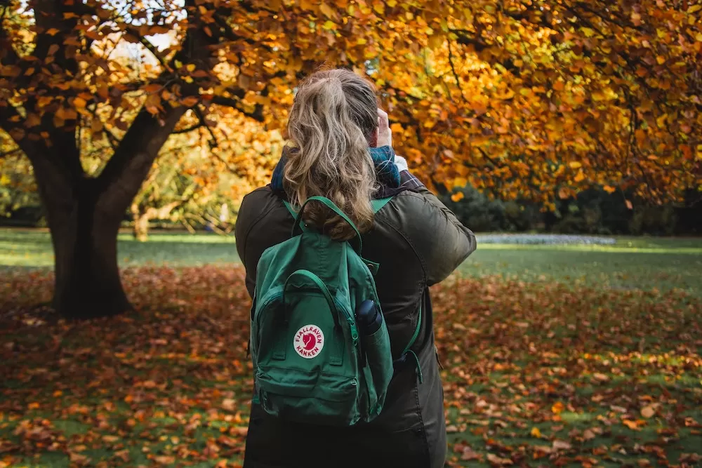 The Most Beautiful Spots for Fall Foliage in London