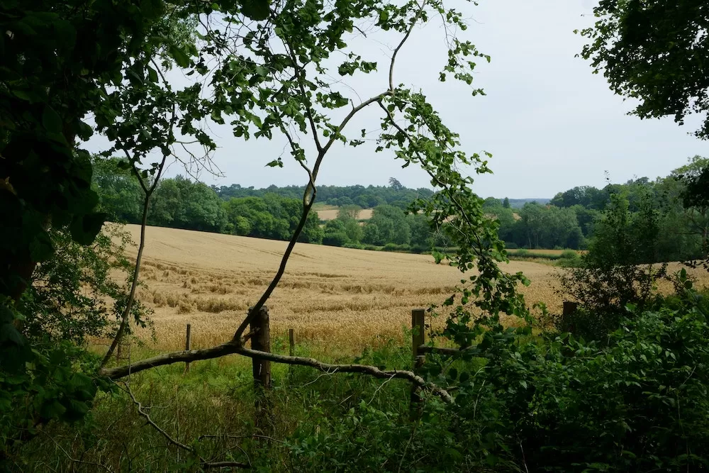 The English Countryside According to Jane Austen