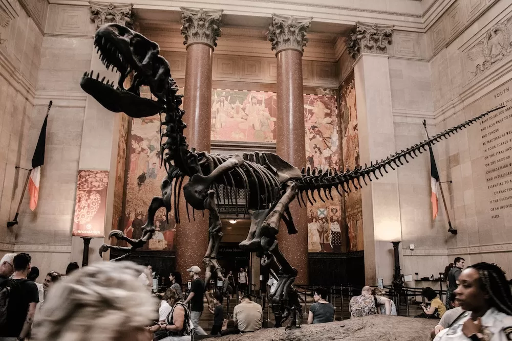 The 10 Must-See Museums in New York City