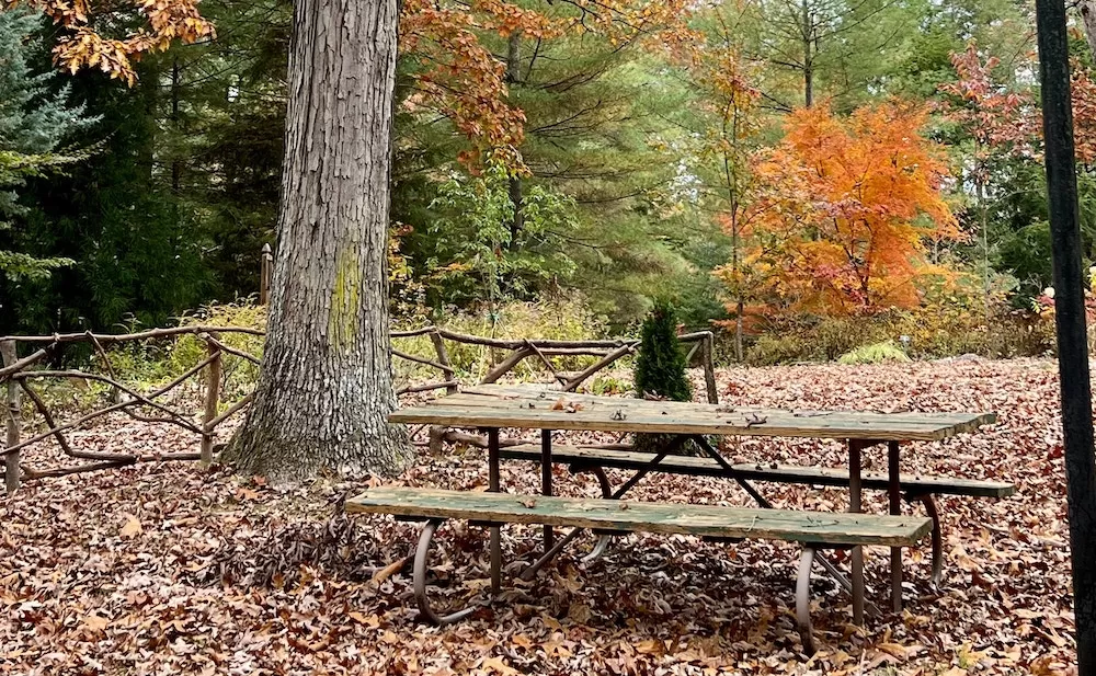 How To Spend Autumn in Central Park