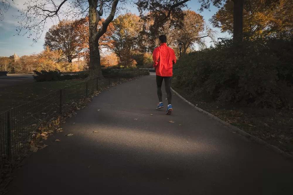 How To Spend Autumn in Central Park