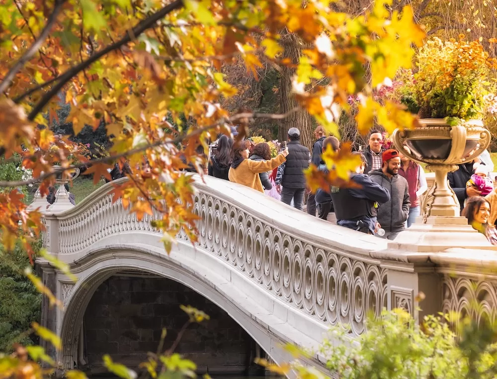 How To Spend Autumn in Central Park