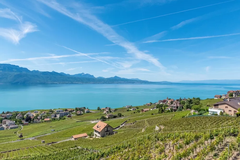 Why Should You Visit The Swiss Alps?