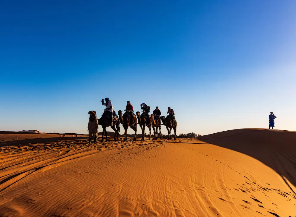 What to Do in The Sahara Desert