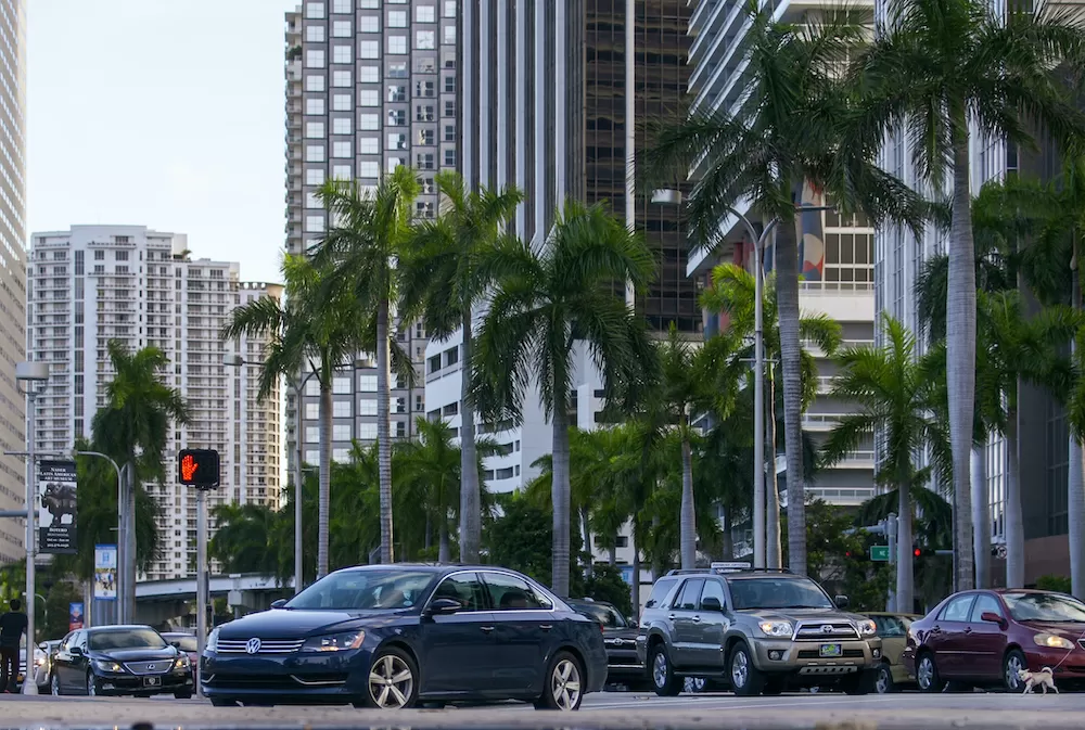 Visit These Cities in Florida in Winter