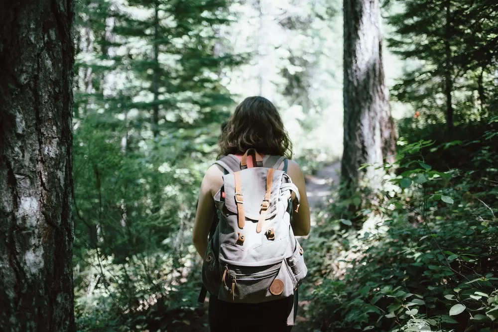8 Fun Things To Do in Winter in Los Angeles