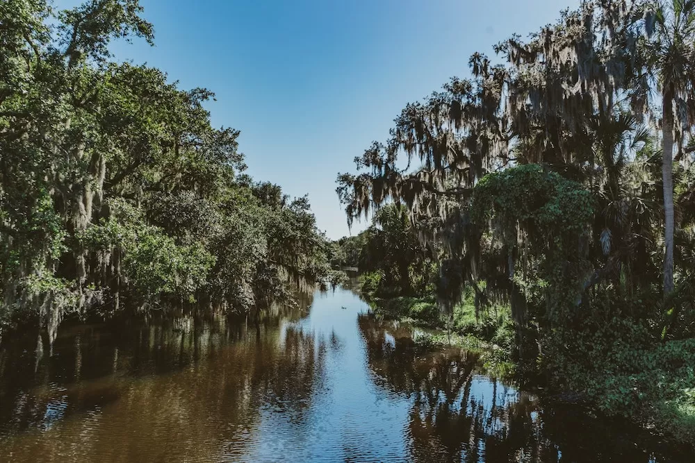 Why Should You Spend Winter in Florida?