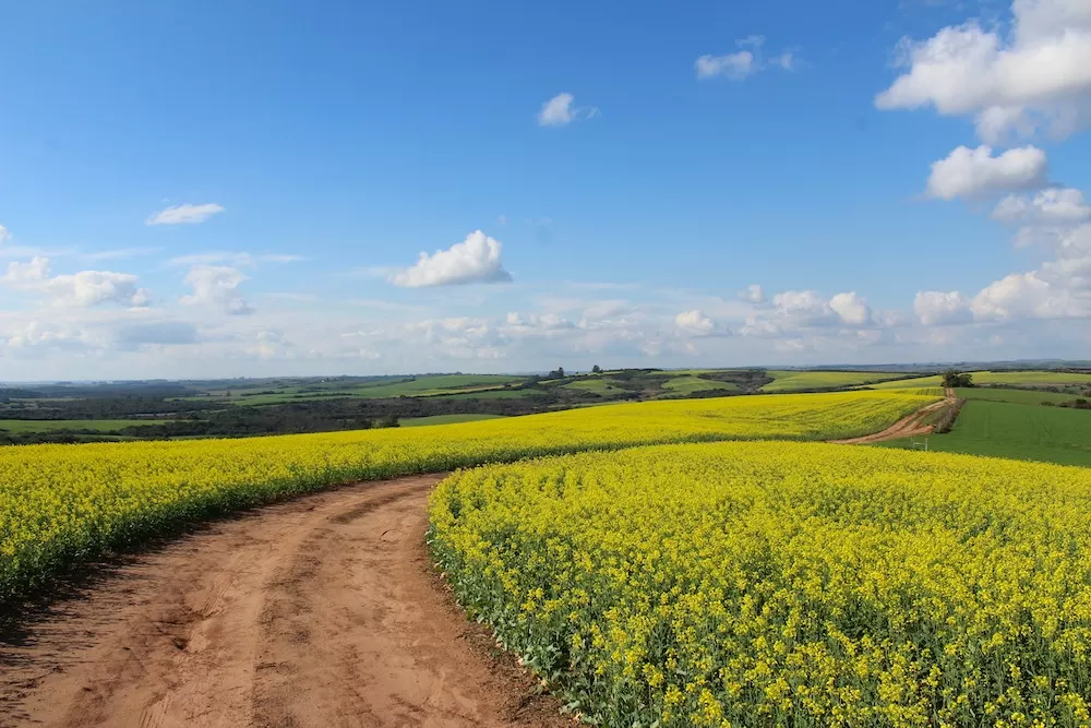 The 10 Most Enchanting Towns in The American Countryside