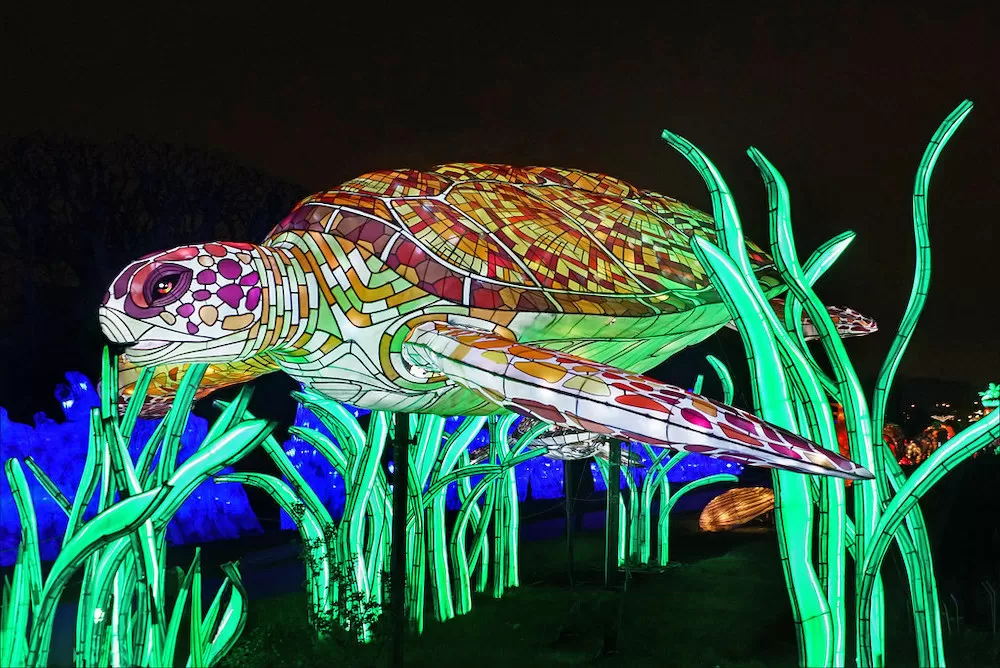 What to Expect in Paris This November 2023