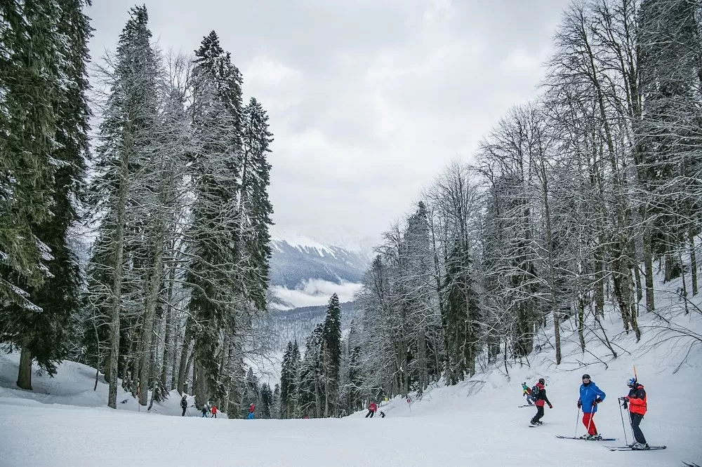 Where to Go Skiing in California
